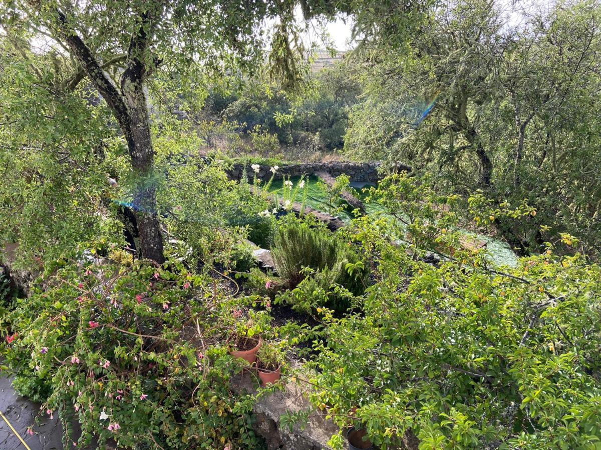 Casas Rurales Tio Antonio Las Rosas  Bagian luar foto