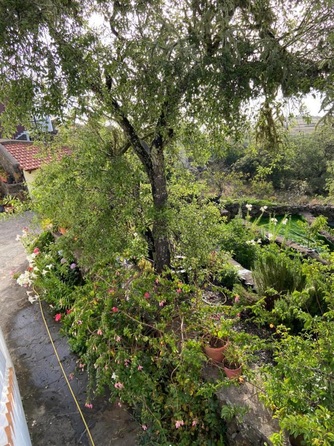 Casas Rurales Tio Antonio Las Rosas  Bagian luar foto